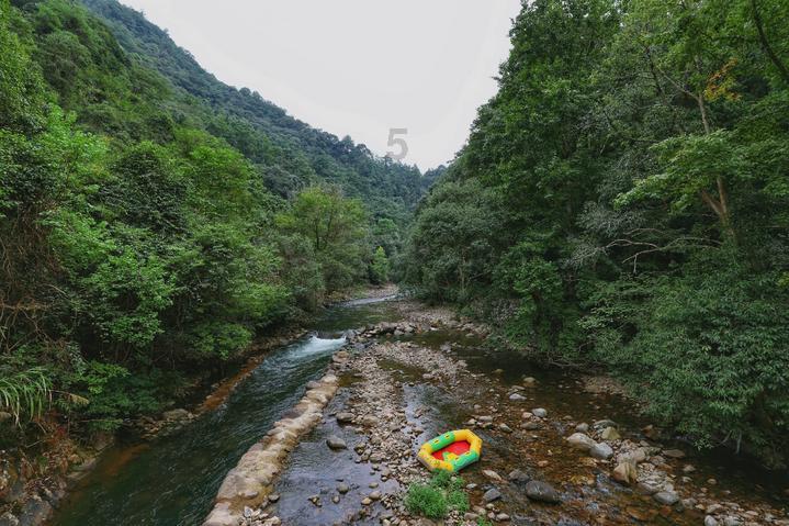 流放者柯南
